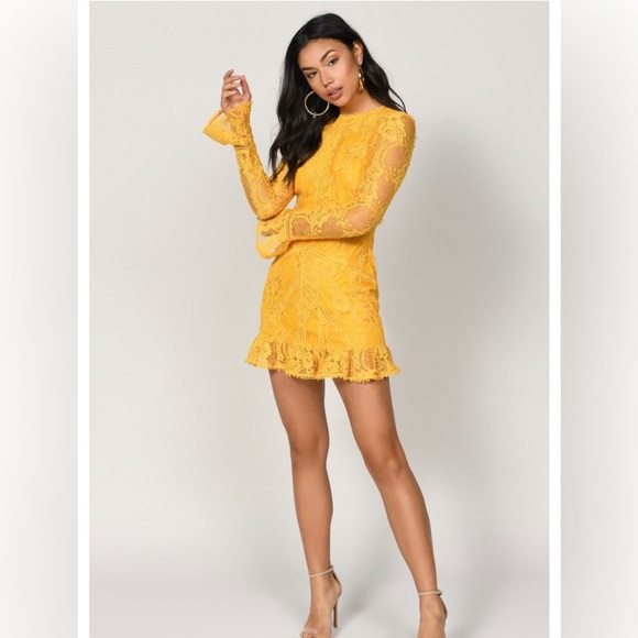 Tobi VICTORIA YELLOW LACE DRESS - Picture 1 of 11
